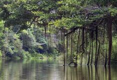 Pleno aprueba norma que impulsa inversión privada en áreas naturales por impuestos