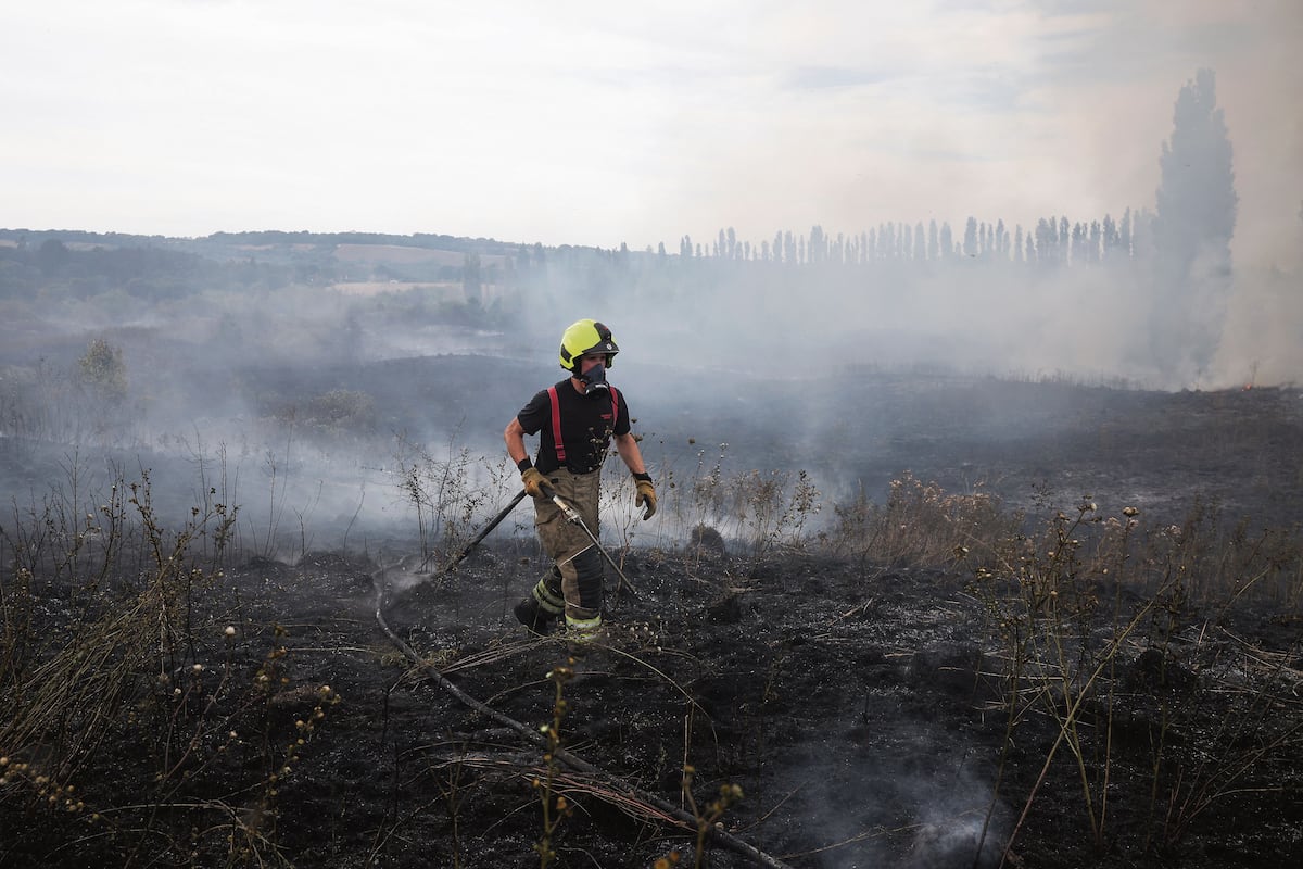 El papa señaló que las sucesivas olas de calor han exacerbado los peligros de la temporada estival de incendios. (Foto: Reuters)