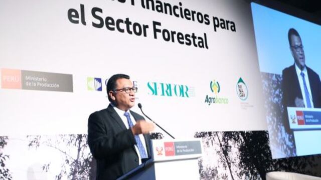 Minagri: Impulso del sector forestal aportará en 1 al 1.5% el PBI nacional