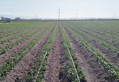 Midagri: obras contra El Niño alcanzan a más de 1.3 millones de familias