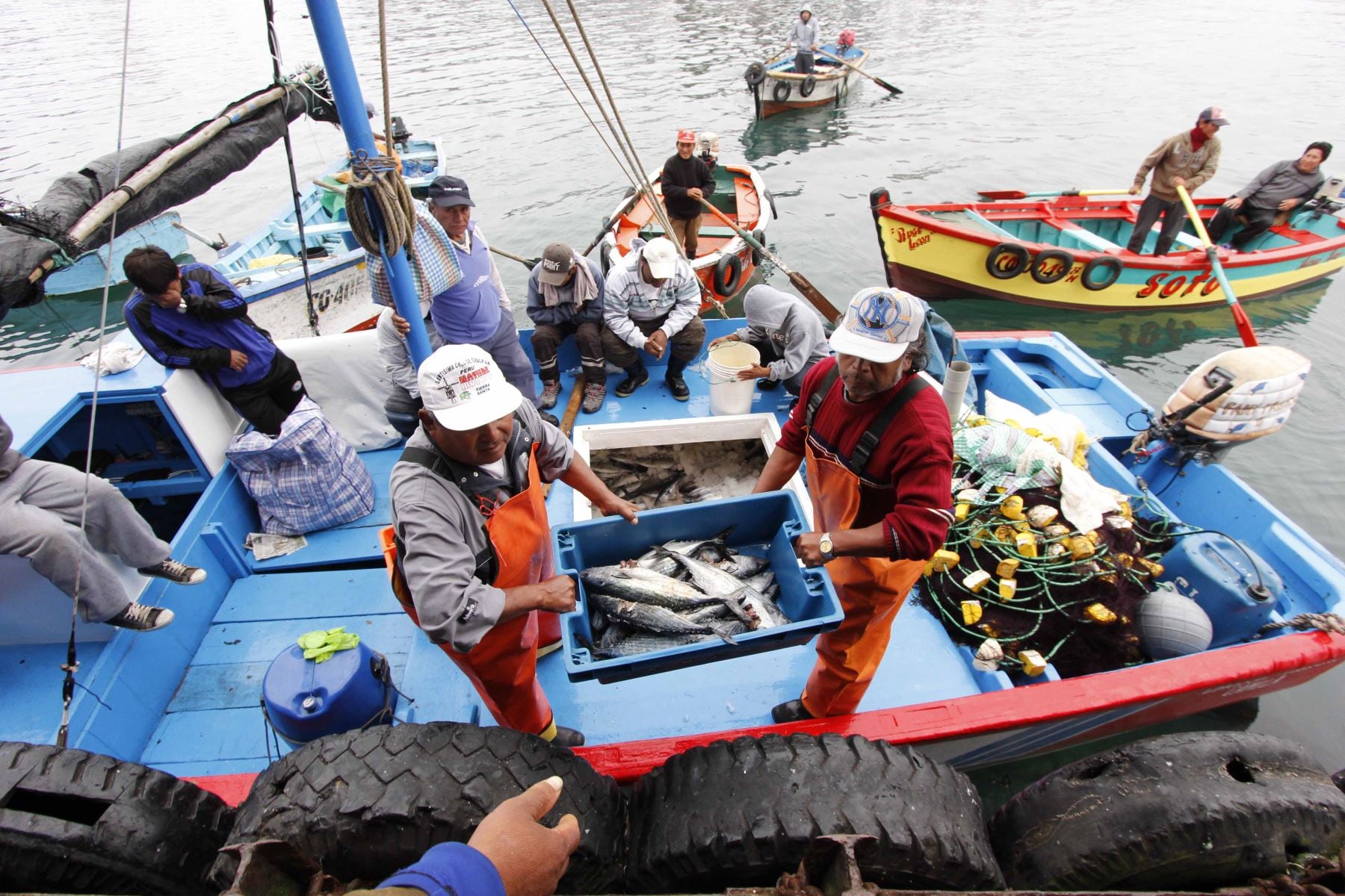 Sector pesca empieza el año con una contracción. (Foto: GEC)