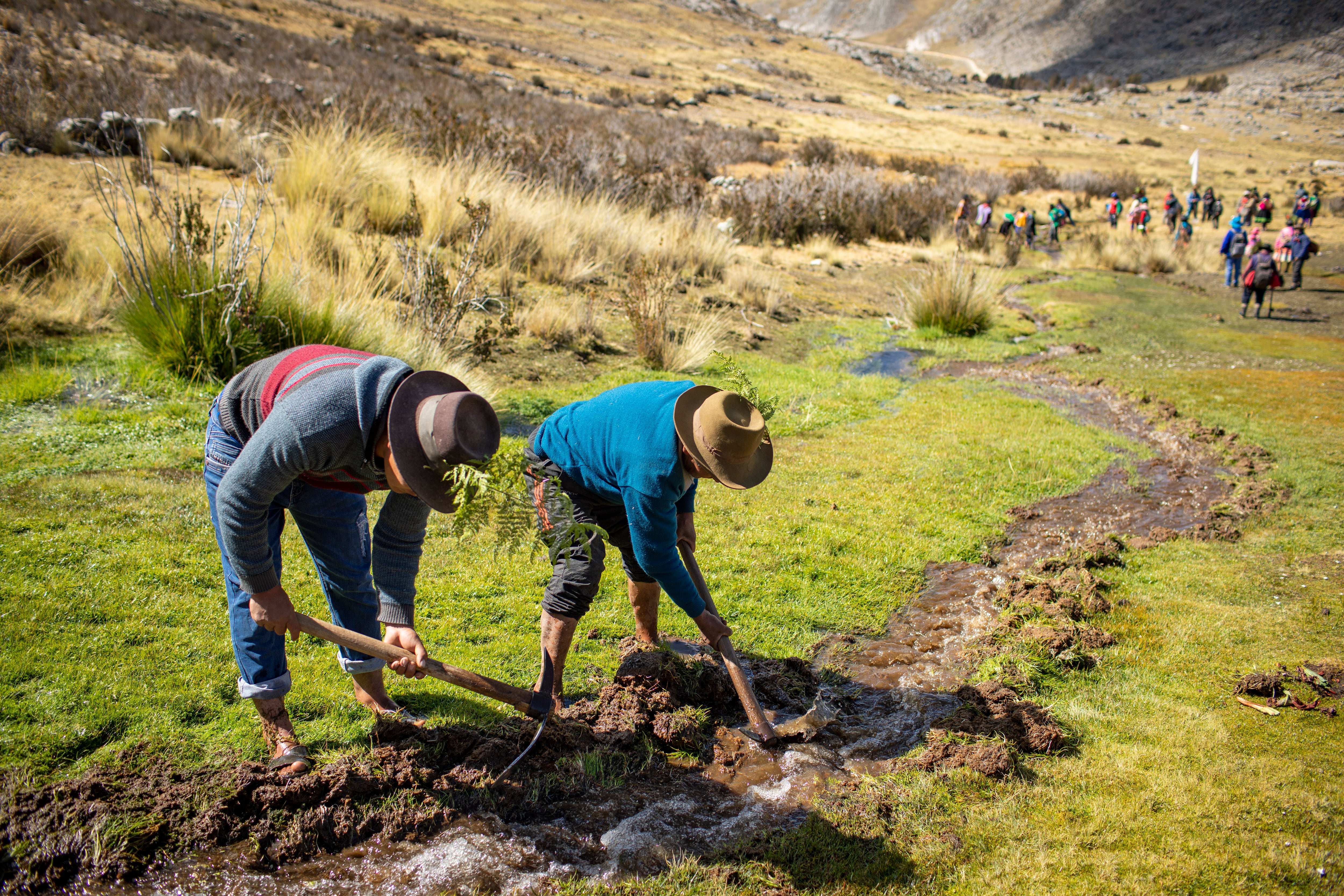 Agricultores del Perú FOTO: RICHARD HIRANO