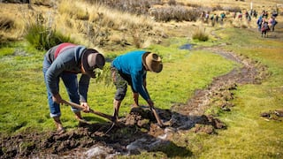 Agricultores peruanos preocupados por coyuntura, ¿cuáles son los puntos débiles?