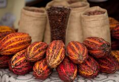 Adex alerta sobre uso inadecuado de pesticidas: cómo puede afectar exportaciones de cacao y café