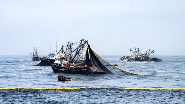 SNP: El Niño no afectaría la pesca y traería especies de oportunidad