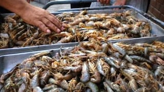 Produce incautó más de dos toneladas de camarón de río y 300 kilos de conchas negras durante veda