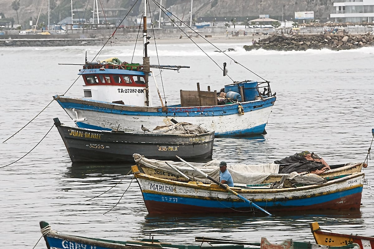 Pesca artesanal. (Foto: GEC)