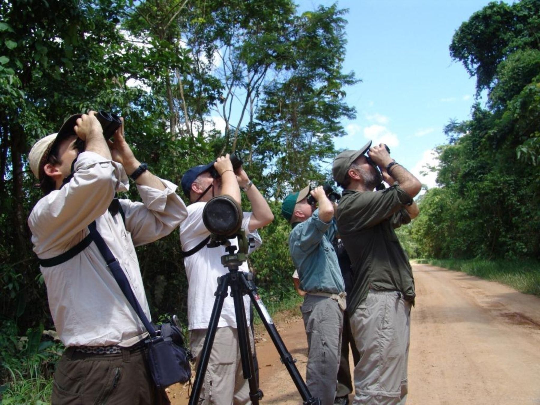 San Martín impulsará el avistamiento de aves en la provincia para aumentar el turismo. Foto: Andina