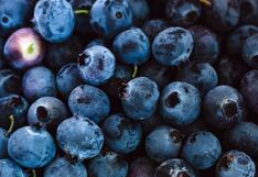 Arándanos peruanos se alistan para ser una de las estrellas otra vez, ¿cómo avanza?