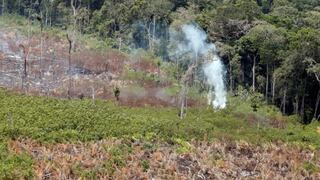 Gobierno firmó adenda de acuerdo internacional para reducir la deforestación en la Amazonía