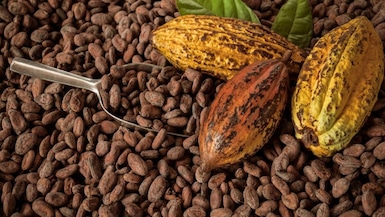 Los precios del cacao iniciaron el 2026 en rojo. Ahora los exportadores peruanos ponen su atención en Fenómeno de El Niño. (Foto: Andina)