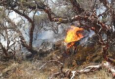 Huánuco pide que declaren estado de emergencia la región por incendios forestales