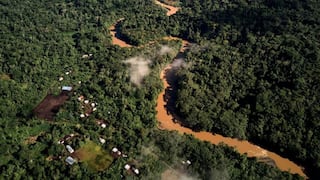 Deforestación de la Amazonia cae un 22.3% en 12 meses hasta julio