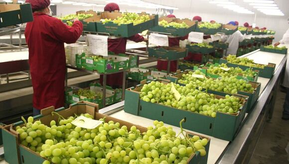 12 de junio del 2009. Hace 15 años. Agroexportadores afrontan cambios en estilo de consumo en EE.UU.