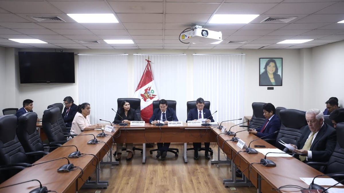 Comisión de Ética seguirá adelante con investigación al diputado Julián Pérez Mallqui
