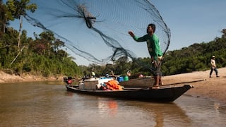 Hallan por primera vez microplásticos en peces de la Amazonía peruana