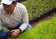 Metas vs. avances: Coca-Cola refuerza su compromiso para contribuir con los ODS