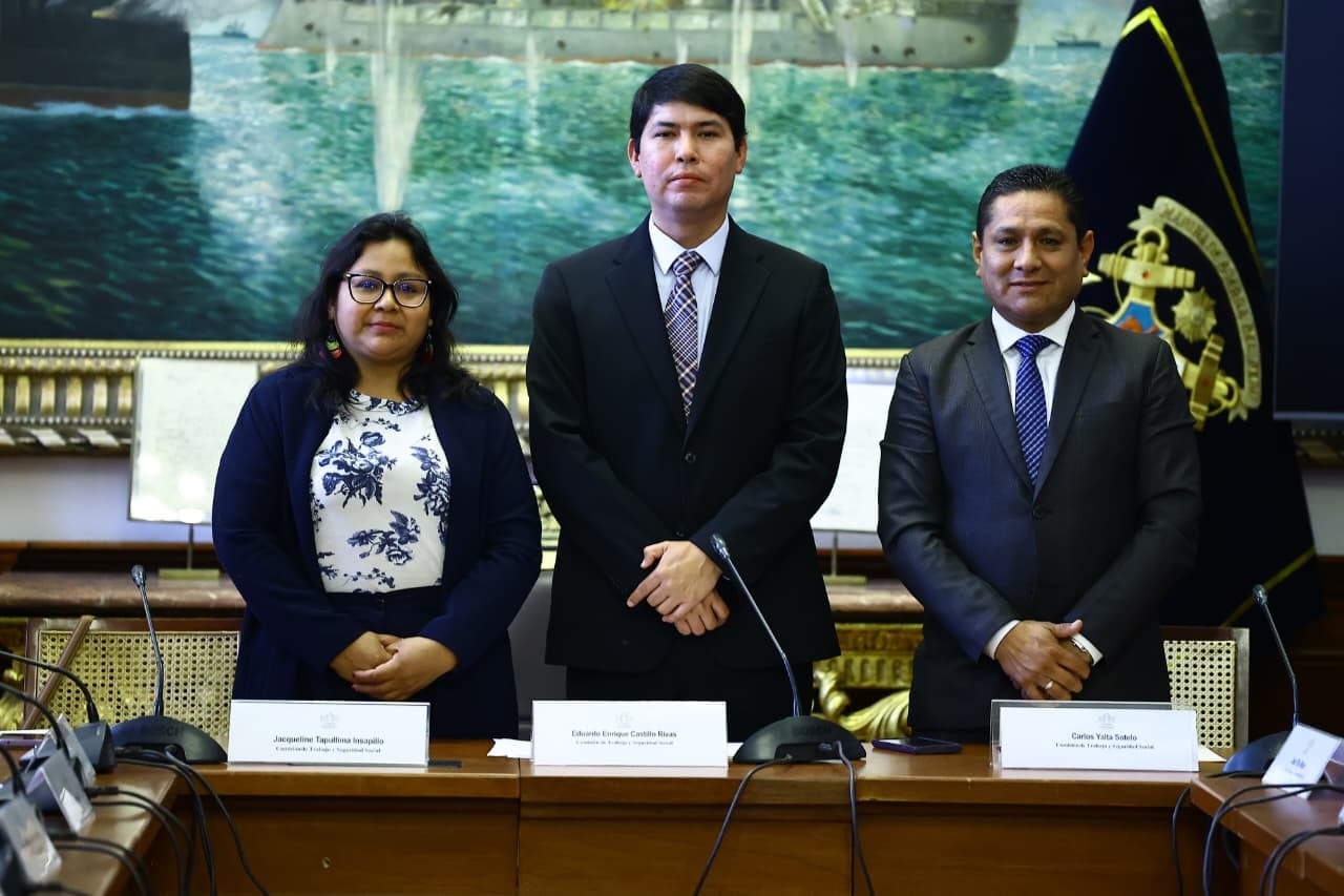 Comisión de Trabajo impulsará incentivos y simplificaciones normativas para fomentar la contratación de jóvenes mediante prácticas preprofesionales y profesionales. Foto: Congreso