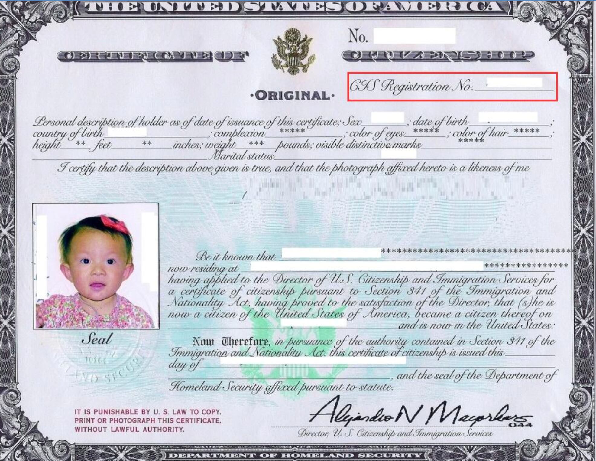 Así es como se ve un certificado de ciudadanía en los Estados Unidos (Foto: USCIS)