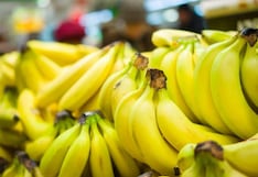 Banano peruano con escenario adverso en este 2025: los detalles que explicarían su caída