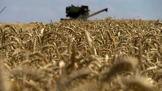 Ucrania vuelve a exportar granos y el G7 le promete ayuda para pasar el invierno