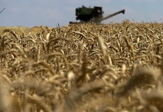 Ucrania registra la peor caída anual de su PBI, aunque menor de la esperada