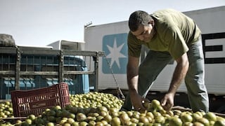 Maersk Line aumentará sus contenedores refrigerados para atender envíos de frutas peruanas