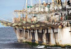 Condiciones para la pesca de pota podrían mejorar en siguientes semanas: ¿por qué?