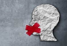 Los proyectos de Ley que restringirían la libertad de expresión y el periodismo: análisis