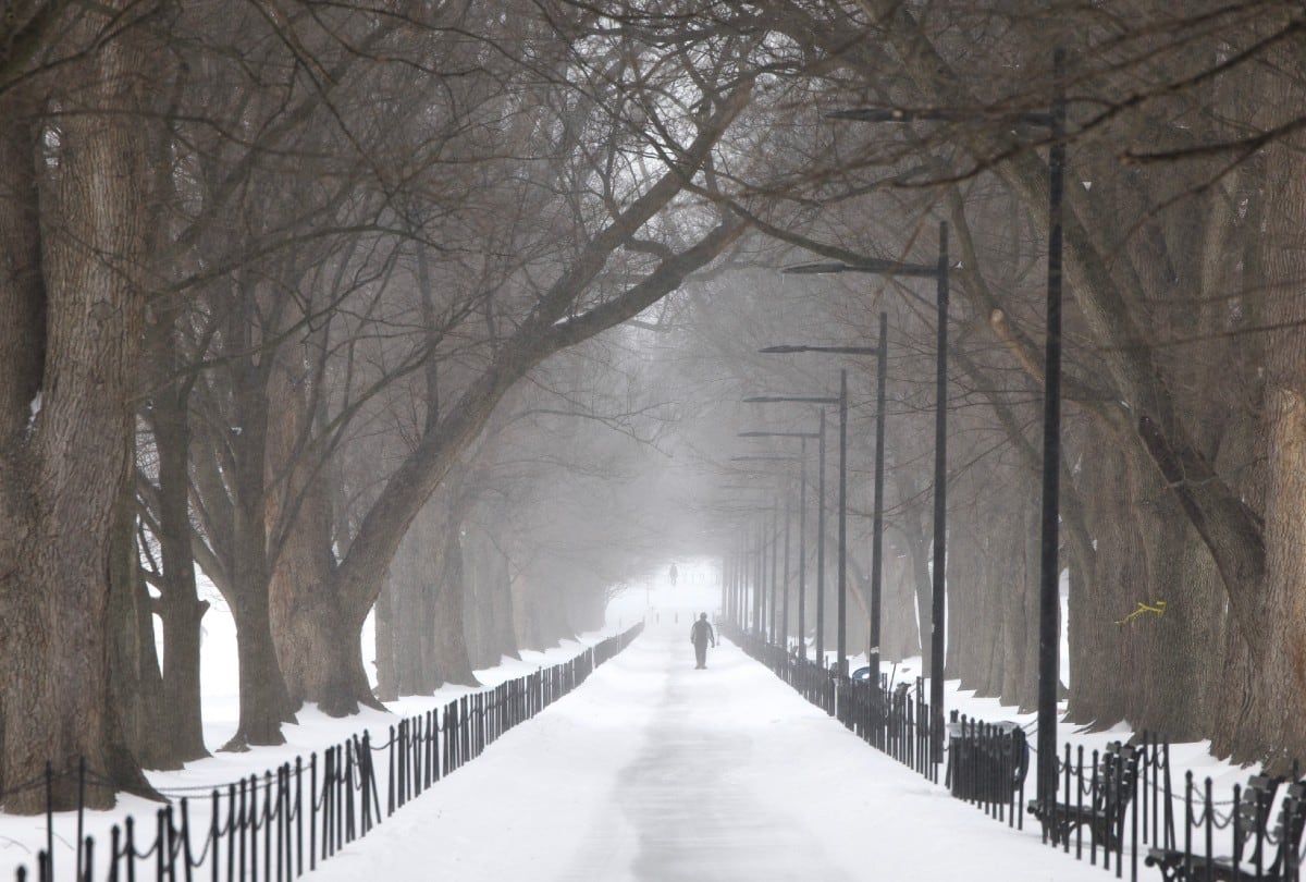 Un hombre camina entre la nieve en Washington, DC, el 25 de enero de 2026, tras la intensa tormenta invernal que afectó gran parte de EE. UU. | Crédito: Amid FARAHI / AFP