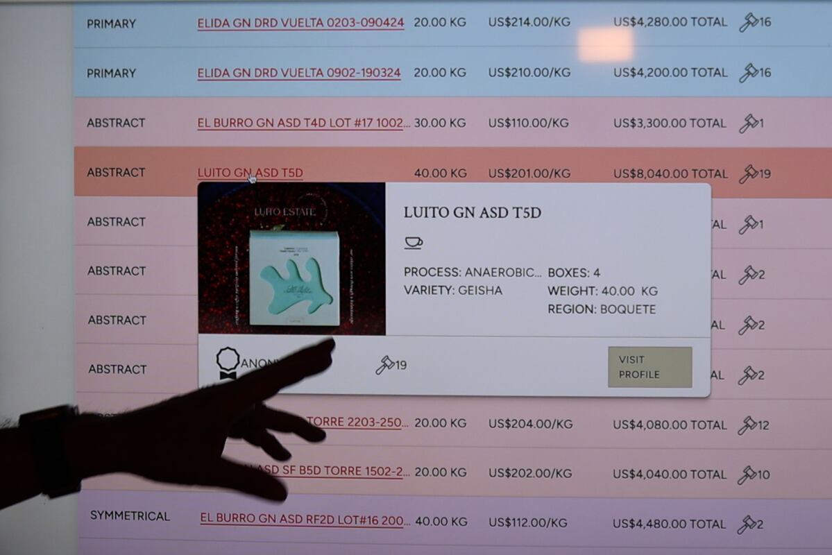 AME1042. BOQUETE (PANAMÁ), 19/09/2024.- Fotografía del 08 de febrero de 2024 de la pantalla con la subasta virtual donde el lote Aguacatillo Elida Geisha Honey fue adquirido por Black Road Coffee de Seúl en Corea del Sur, en Boquete (Panamá). La joya del café de Panamá, el Geisha vuelve a imponer un nuevo récord mundial, al venderse en 13.518 dólares por kilogramo, en la subasta anual privada de Lamastus Family Estate, con el lote Aguacatillo Elida Geisha Honey adquirido por Black Road Coffee de Seúl en Corea del Sur. Se trata del mismo productor que impuso el precio récord en la reciente subasta electrónica del Best of Panama. EFE/ Marcelino Rosario