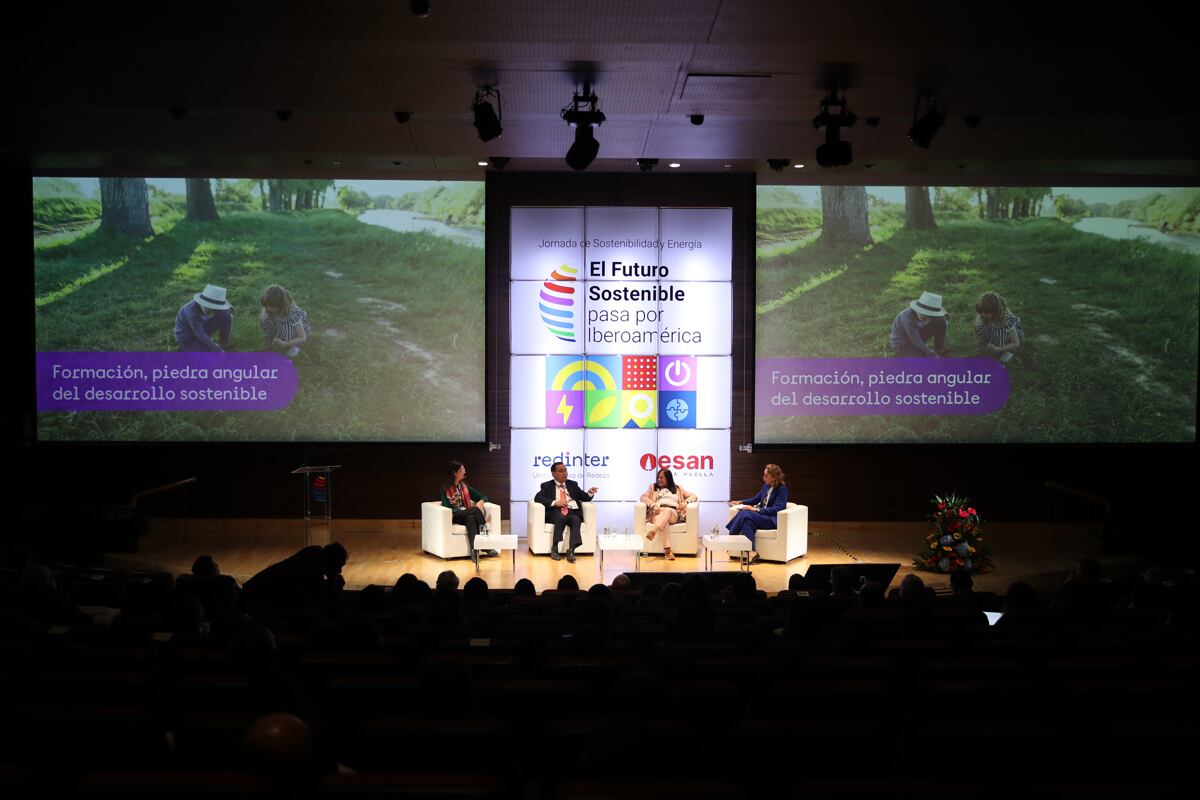 El consejero delegado de Redeia, Roberto García Merino, habla durante el foro 'La Jornada de sostenibilidad y energía. (Foto: EFE)