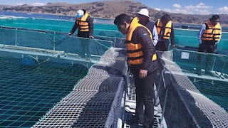 Puno: instalan laboratorio en el lago Titicaca para realizar evaluaciones sanitarias a truchas