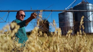 El Niño frenará en seco crecimiento agropecuario brasileño en 2024