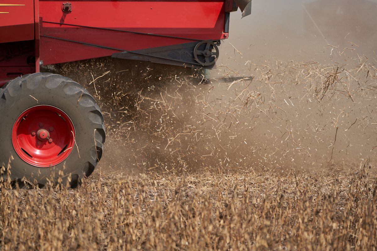 Una cosechadora corta un campo de plantas de soja en una granja afectada por la sequía en San José de la Esquina, Argentina, el jueves 6 de abril de 2023. Foto: Bloomberg