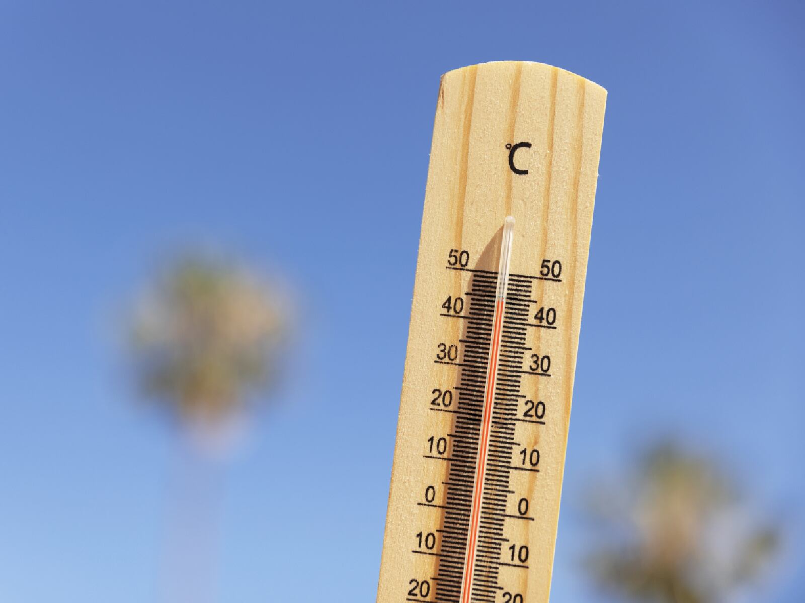 De acuerdo con la información oficial, 1 de cada 5 víctimas son de origen hispano (Foto: Freepik)