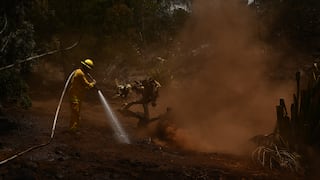 Incendio en Hawaii en vivo: cifra de fallecidos llega a 101 y es la quinta catástrofe más mortífera en la historia