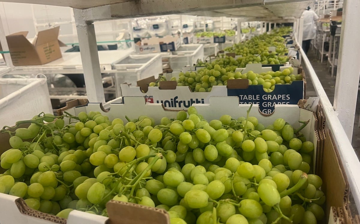 La sede global de Unifrutti se encuentra en Emiratos Árabes Unidos, país donde en 2022 pasó a formar parte del portafolio del fondo soberano ADQ. (Foto:Portalfruticola).