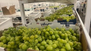 Unifrutti compra activos en Perú por US$ 150 millones y asegura flujo de uva al exterior