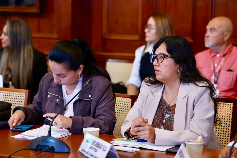 La presidenta del grupo, Giannina Avendaño (Juntos Por el Perú), envió a un cuarto intermedio. (Foto: Congreso)