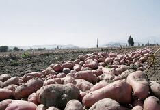 Agricultura “en jaque”: los seis principales cultivos en riesgo hasta abril