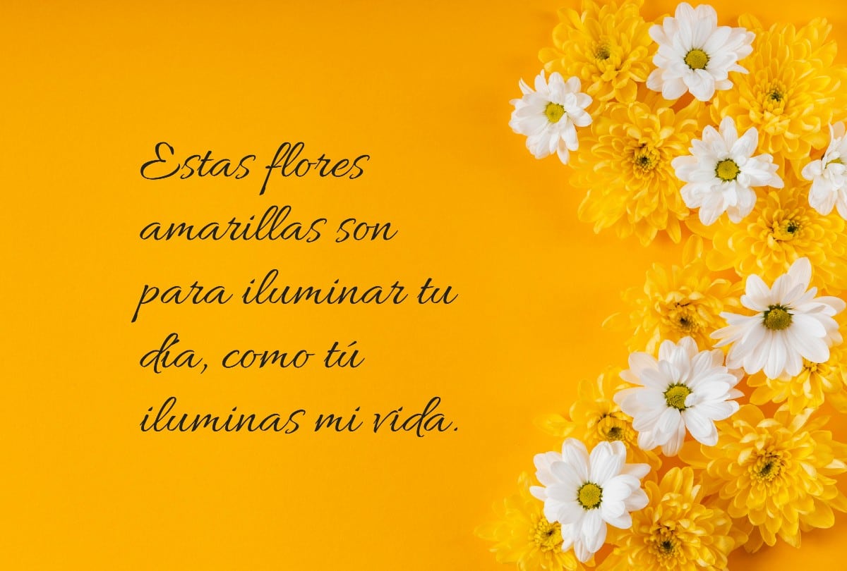 Sorprende con frases originales junto a tus flores amarillas este 21 de marzo. | Crédito: Composición Gestión Mix / Freepik