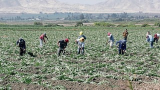 Midagri anunció reactivación de agro créditos y seguros para productores peruanos