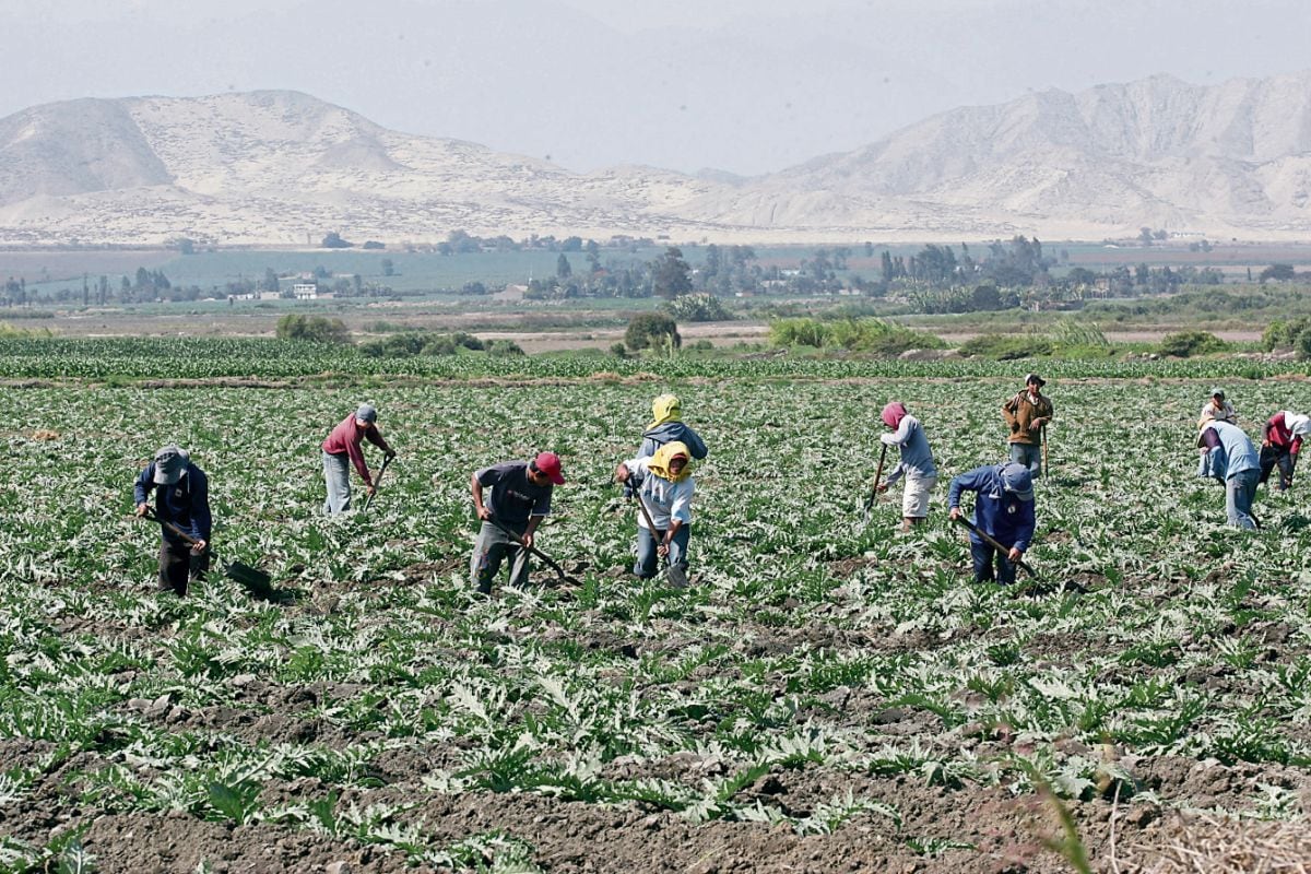 Se aprobó una asignación adicional de S/ 28 millones para la región Tumbes, lo cual permitirá la atención de 18 nuevas fichas de puntos vulnerables identificados. (Foto: GEC)