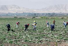 Midagri anunció reactivación de agro créditos y seguros para productores peruanos