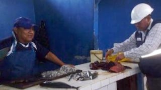 Produce decomisa carne de delfín en Mercado Miramar de Chimbote