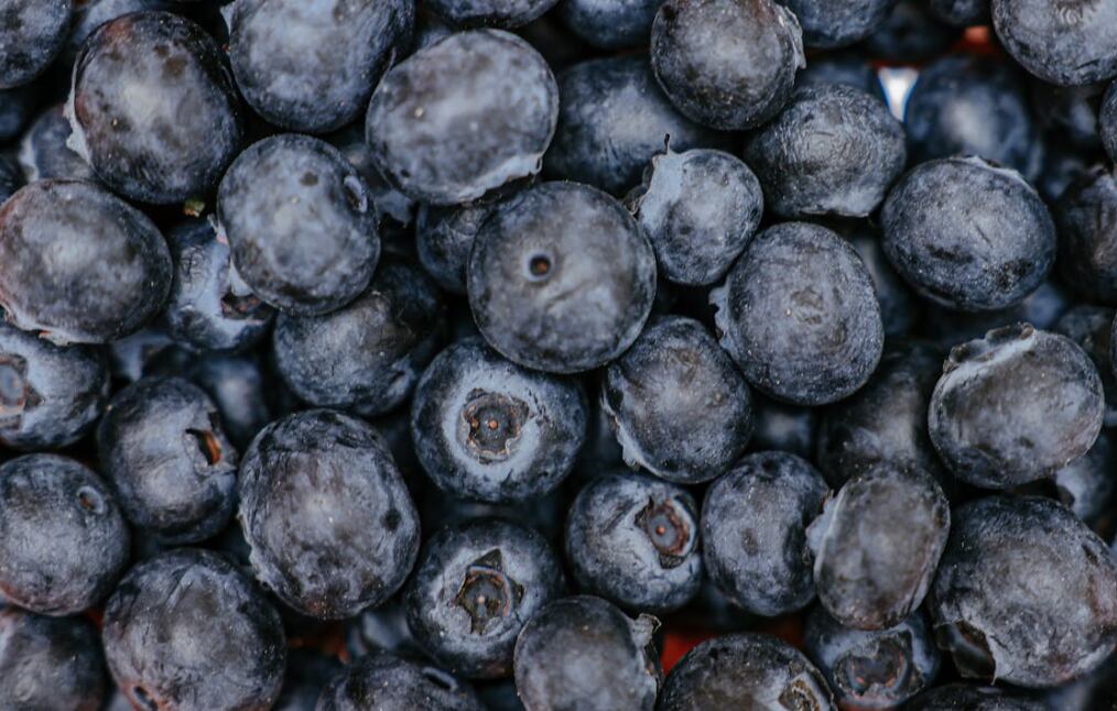 El Perú se consolida como el primer exportador mundial de arándanos con una cifra récord de ventas, con más de US$ 2,270 millones al cierre del 2024. (Foto: Pexels)