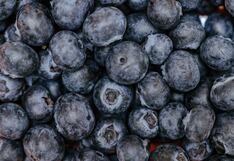 Arándanos de Perú: a un mes de los aranceles de Trump, ¿hay nuevos temores?