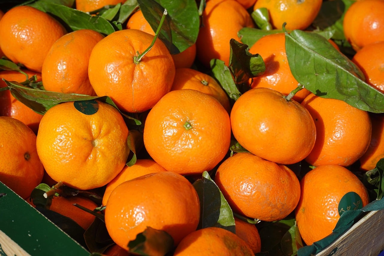 Cayaltí en junio último logró su primera cosecha de mandarina Tango. (Foto referencial: Pixabay)