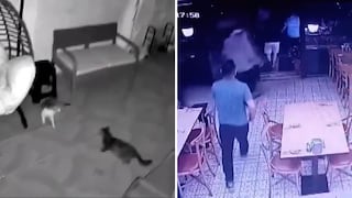 Potente terremoto sacude Turquía: muere adolescente y se reportan varios heridos